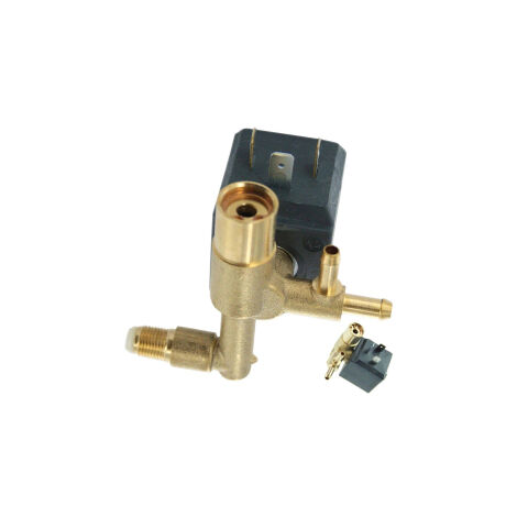 Electrovanne Centrale vapeur 00950084, CS-00095084 CALOR