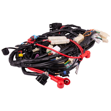 Elektrisches System der Falcon 125cc-Einspritzung