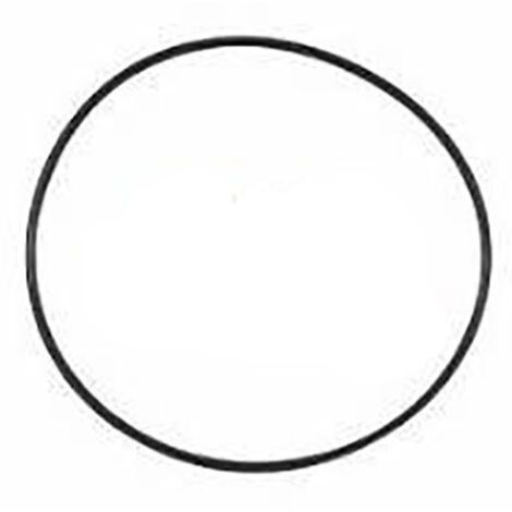 Elektrodendicht-O-Ring für Zodiac Tri und Tri Expert Electrolysis