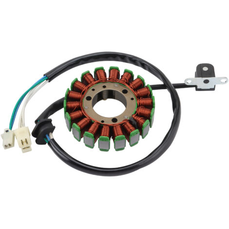 Elektromagnetische Spule kompatibel mit Yamaha TTR250  Generatorstatorbaugruppe für Motorräder/Quads/Elektrofahrzeuge, Universalteile für Hochleistungszünd- und Ladesysteme.