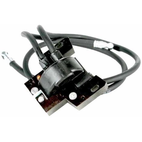 Elektronische Spule kompatibel mit Briggs & Stratton 16-18 PS Boxermotor