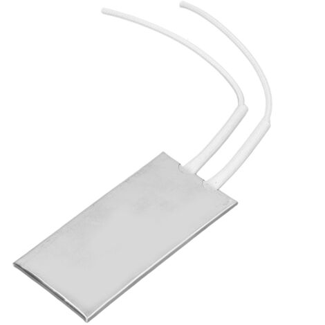 Élément Chauffant PTC 100x50mm 120W 220V, Plaque Thermostatique Inox pour Ventilateur Auto