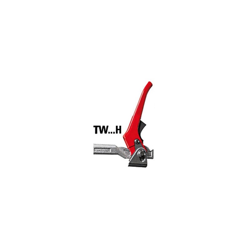 

Bessey - Elemento de sujeción para mesas de soldadura TW16 200/100 (palanca) 200mm máx. - TW16-20-10H