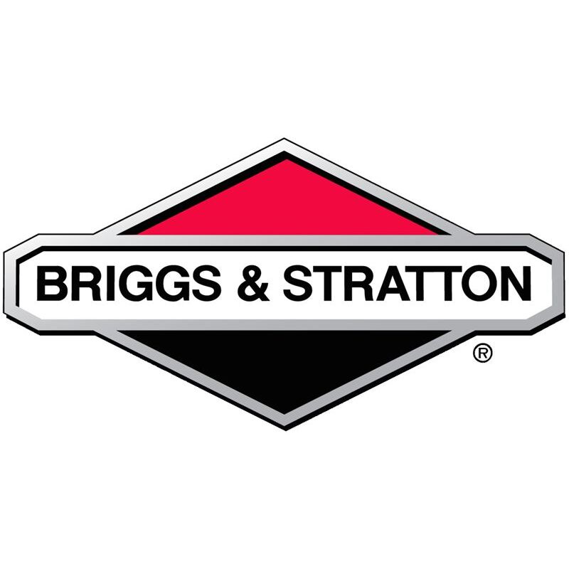 Elemento filtrante (superior) Briggs and Stratton - 272477S