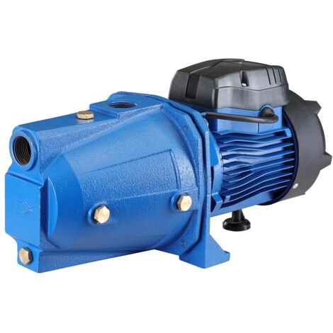 Elettropompa Autodescante Autoclave Periferica 1HP 750W Pompa Girante Acciaio