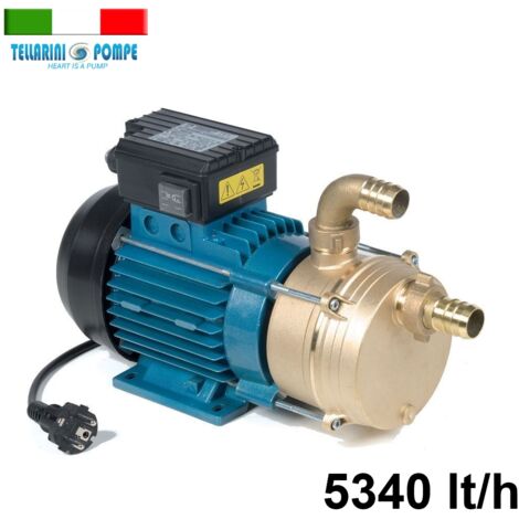 Elettropompa/Pompa da travaso Tellarini 1 HP - EEM30