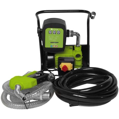 BuoQua 60L/min Pompa Gasolio Elettrica 220V Con Pistola Automatica  Contatore 5m Tubo Flessibile 220V 550W Pompa Gasolio Elettrice Liquidi  Diesel Pompa