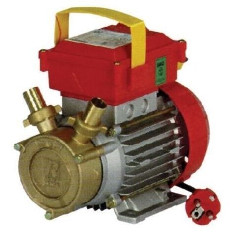 ELETTROPOMPA TRAVASO ROVER 25MM 0,8HP AUTOADESCANTE