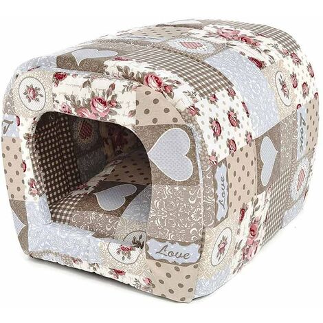 Elevage De Spitz Pomeranian - SOSanimaux