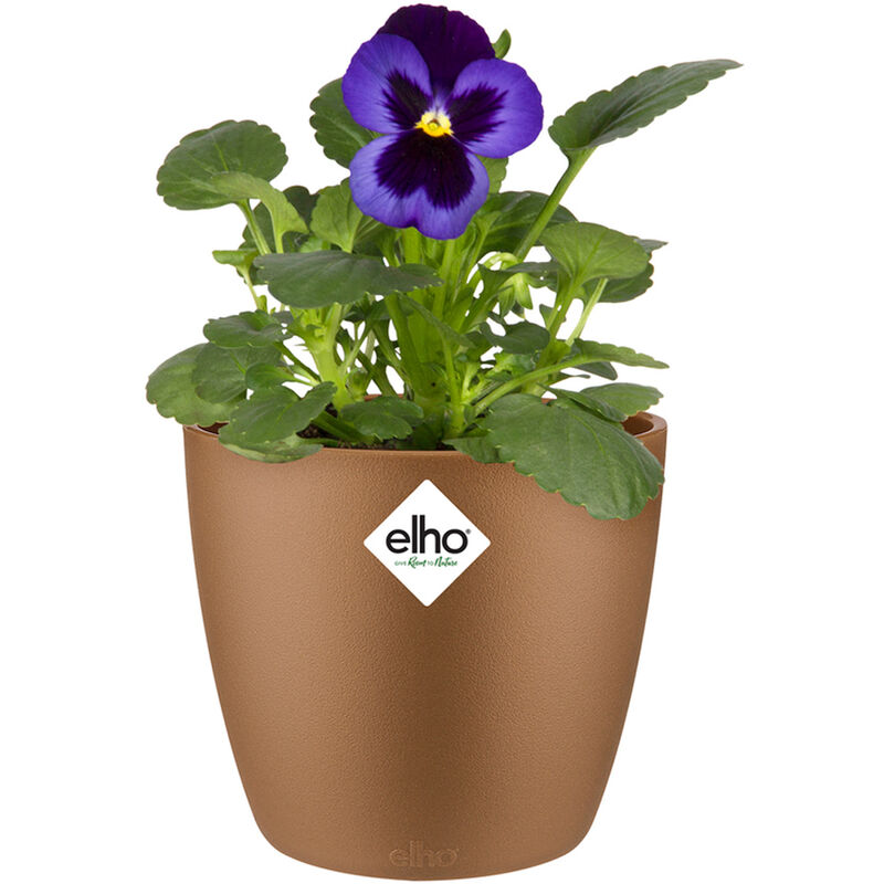Bac à fleurs rond jardinière Pêche Bleu Or en plastique pour extérieur jardin terrasse pot de fleurs Or velours / 0.8 Litres - Elho