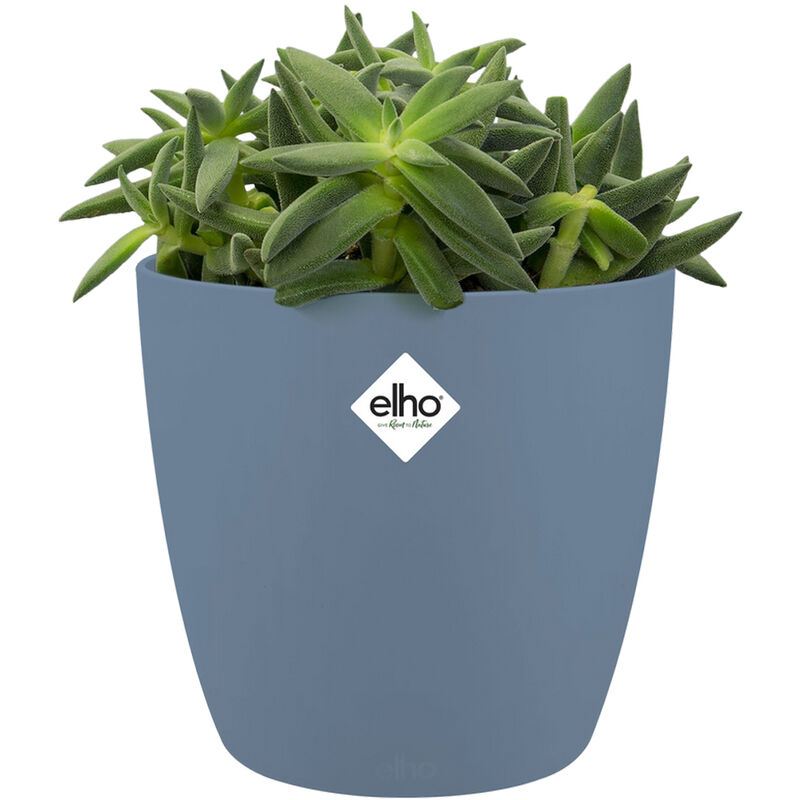 Elho - Bac à fleurs rond jardinière Pêche Bleu Or en plastique pour extérieur jardin terrasse pot de fleurs Bleu / 2.2 Litres