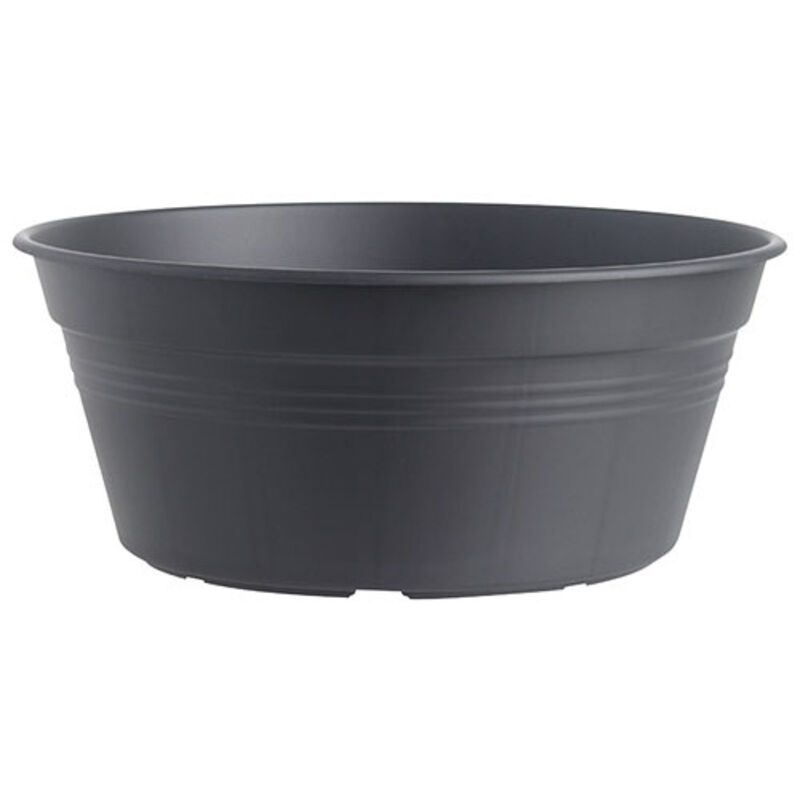 Coupe Green Basics D.38cm Living Noir - Elho Coupe Green Basics D.38cm Living Noir - Elho