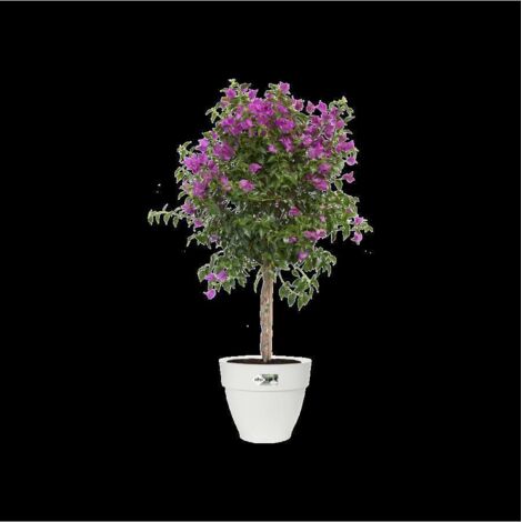 ELHO VASO VIBIA CAMPANA ROUND 47CM SILKY WHITE