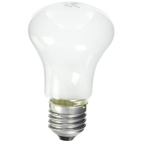 Elinchrom EL23002 - Ersatzbirne für Einstelllicht - 100 W