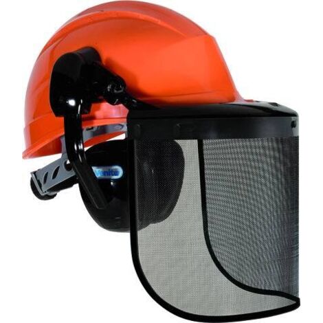 Elmetto Deltaplus FORESTIER-2 con cuffie e visiera arancione