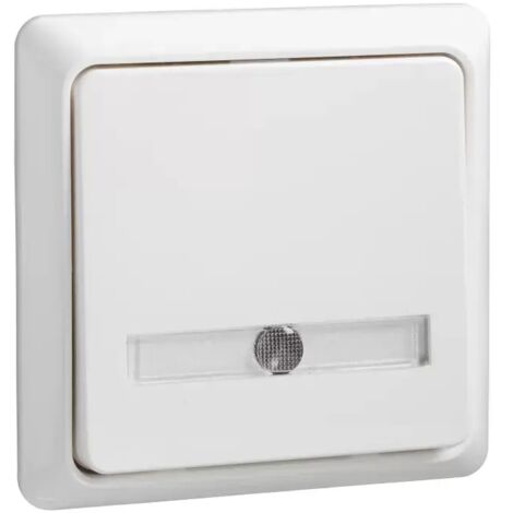 Elso Tast 42V/1A Aufputz flach Schriftfeld beleuchtet 1xLED Ans RENOVIERUNG reinweiß 506344