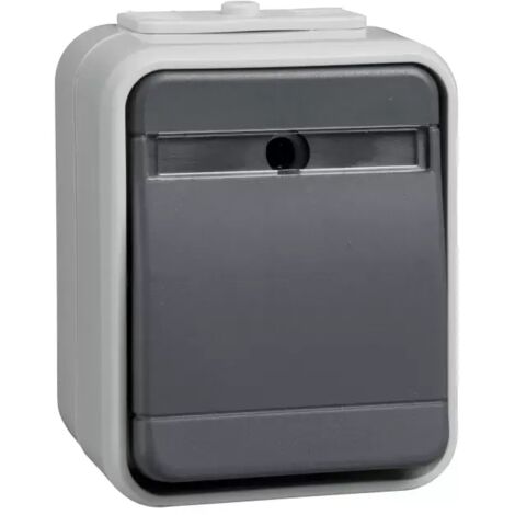 ELSO Taster 442129 10A AquaTop licht/basaltgrau
