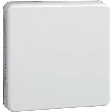 Elso Wippe rw f.Taster/Schalter 233604