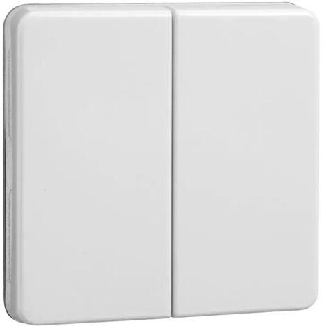 Elso Wippe rw Serie u.Doppeltaster 233504
