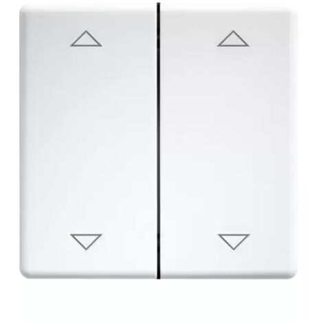 Eltako Doppelwippen lasergraviert für Taster und Schalter 55er Design und E-Design55 reinweiß glänzend 30000985