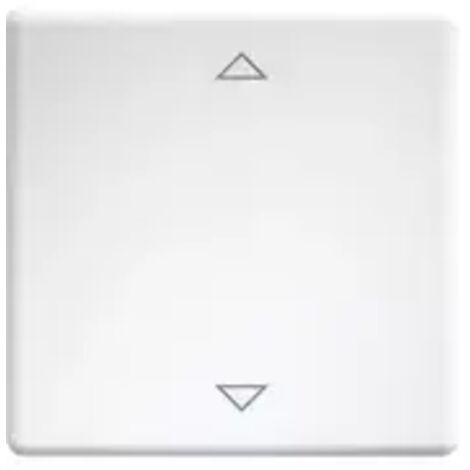 Eltako Wippe lasergraviert f.55x55mm rws W-FT55-rw+2P