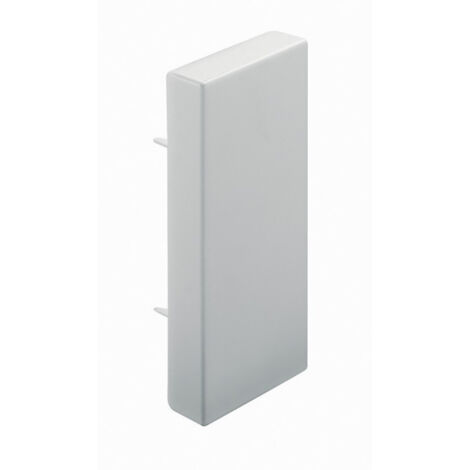 Embout à visser pour goulotte de distribution Viadis 25x16mm blanc Artic (16224)