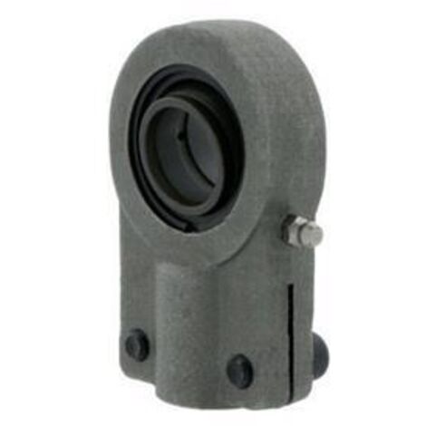 Embouts à rotule SIQG100 ES 100mm SKF