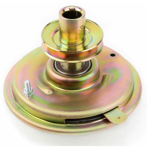 Embrayage de lame mécanique AYP 170163