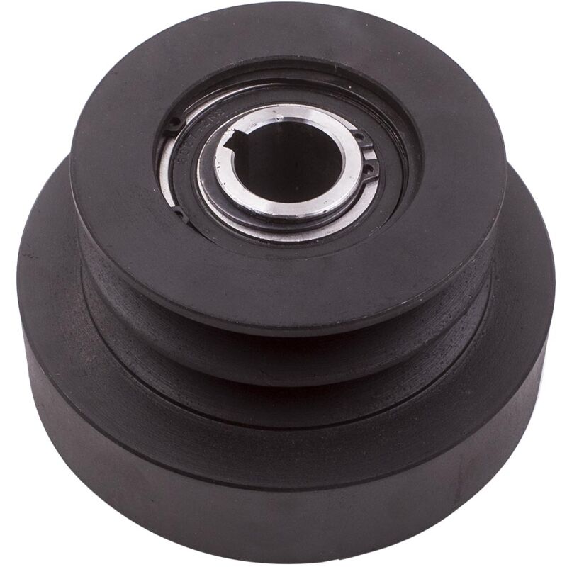 Embrayage de poulie centrifuge Poulie double de 25