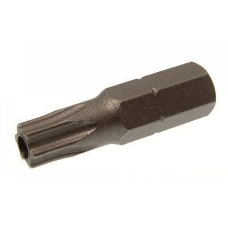 Embout Inviolable Torx T40