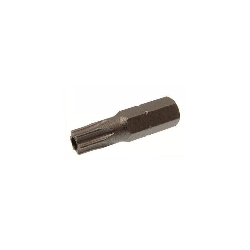 Embout Inviolable torx T20-100 pièces