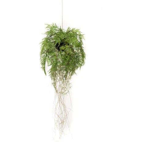 Emerald Artificial Hanging Fern with Roots 35 cm - Green