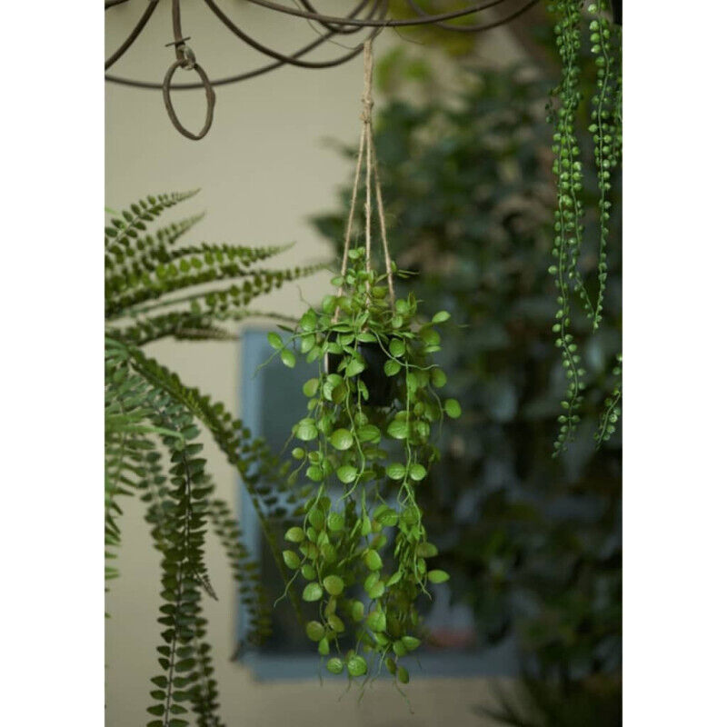 Emerald - Plante artificielle suspendue Ceropegia 50 cm en pot