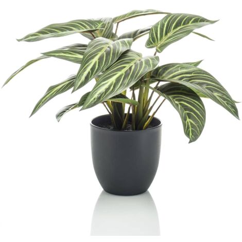 Pianta Artificiale da interno ed esterno Calathea Bell con vaso h 11 –