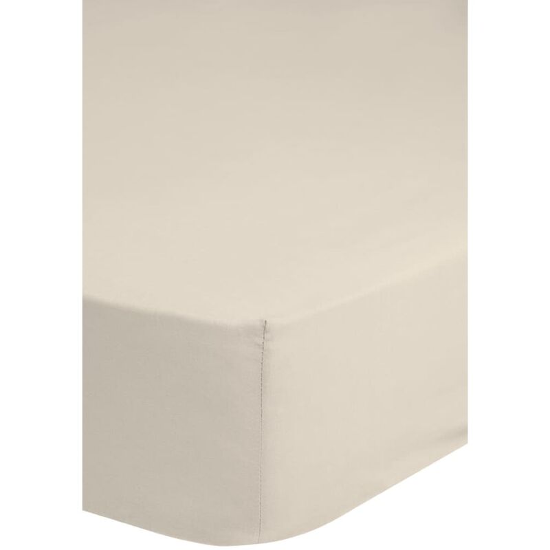 

Sábana Ajustable Jersey Crudo 180x220 cm - Crema - Good Morning
