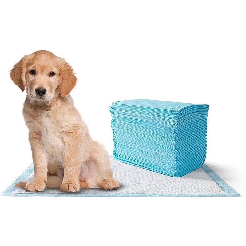 

Empapadores para perros | Empapadores para entrenamiento de mascotas | Empapadores para perro grande 15 unidades