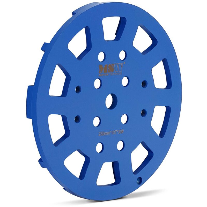 MSW - Disque Diamant à Meuler Le Béton 10 Segments Meule Universelle Grain 30 ø 250 mm