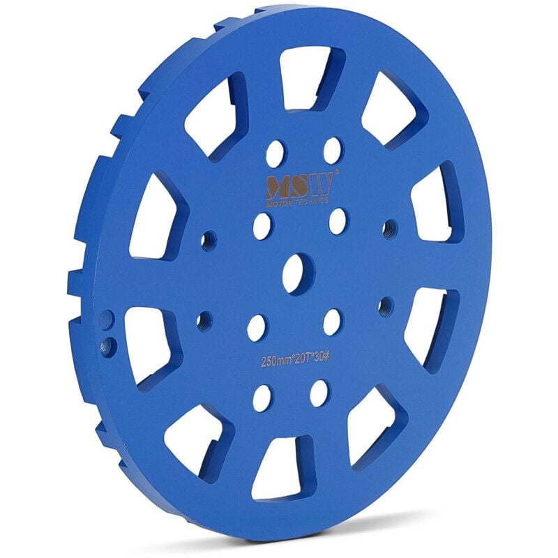 MSW - Disque Diamant à Meuler Le Béton Segmenté Meule Universelle Grain 30 ø 250 mm