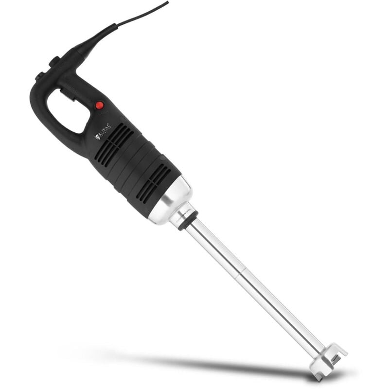 Royal Catering - Mixeur Plongeant Pied Mélangeur Professionnel 18 000 tr/min 650 w 450mm Inox