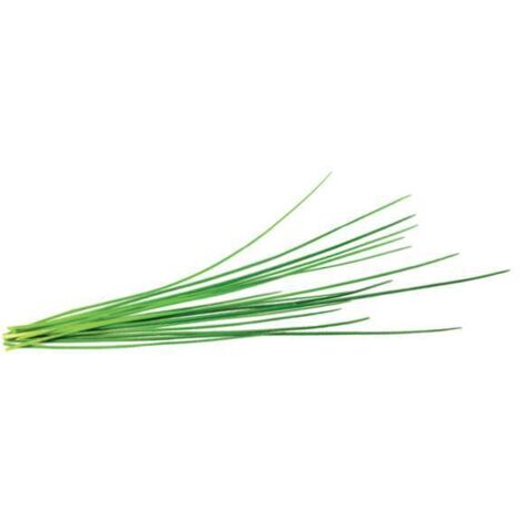 EMSA CLICK & GROW CIBOULETTE (M5261200) CLICK AND GROW
