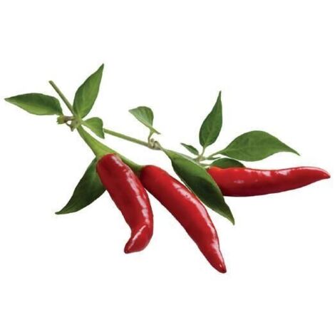 EMSA CLICK & GROW PIMENT (M5260700) CLICK AND GROW