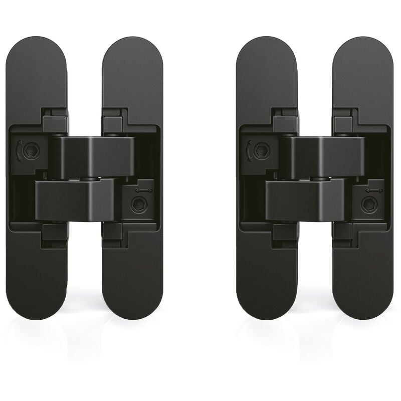 Emuca - Lot de 2 charnières à boîtier pour portillon, charge 40kg, ouverture à 180 degrés, Zamak, Noir
