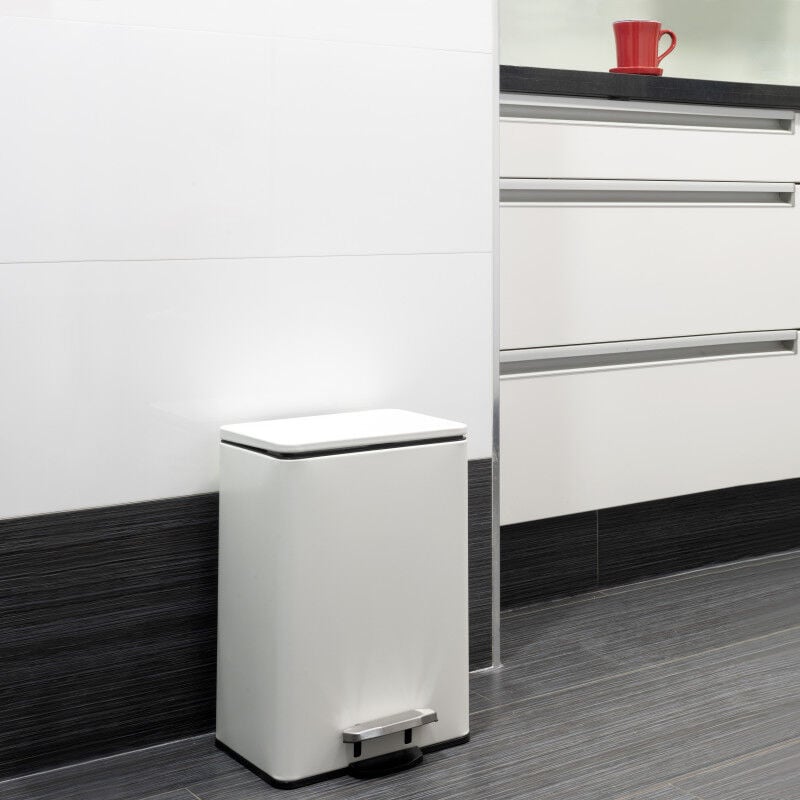 Emuca - 8200812 Bac de tri sélectif a compartiments Recycle, ouverture du couvercle par pédale, 1x12litres, Aluminium, Peint en b