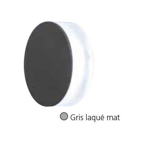 Encastré mural LED 7.4W rond Ø 70mm dépassant gris laqué mat diffuseur verre lumière blanc chaud avec alim 230V IP20 CHONOS