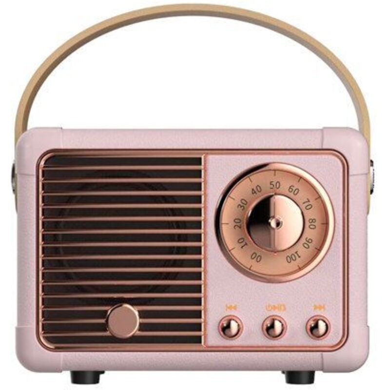 Enceinte Bluetooth 5.0 3W RMS Mod&egrave;le Auteuil avec Poign&eacute;e de Transport Rose