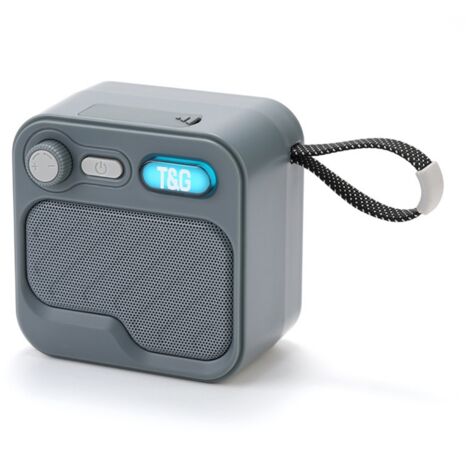 Enceinte Bluetooth Mini Portable, Haut-Parleur Sans Fil pour Maison/Extérieur avec Dragonne, TG701 V5.3 TWS, Gris