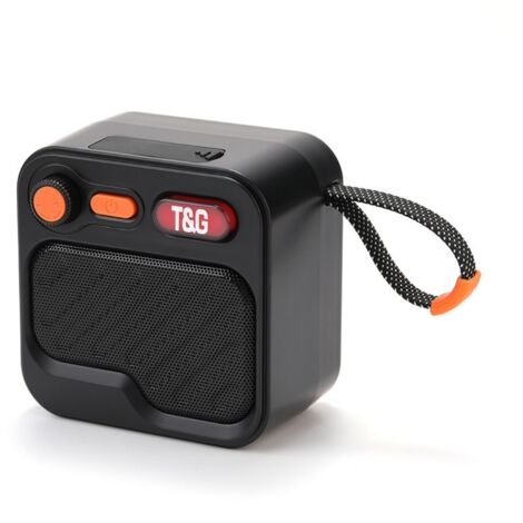Enceinte Bluetooth Mini Portable, Haut-Parleur Sans Fil pour Maison/Extérieur avec Dragonne, TG701 V5.3 TWS Noir