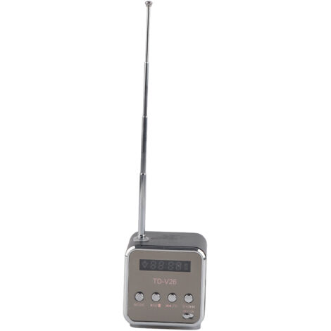 Enceinte Mini Portable Lecteur MP3 Radio FM avec Support Carte TF et Clé USB Noir