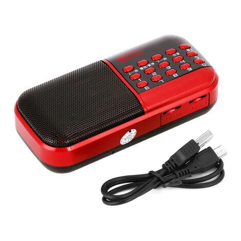 Enceinte Mini Radio FM 87.5‑108MHz avec Lecteur Carte Mémoire et Réduction de Bruit