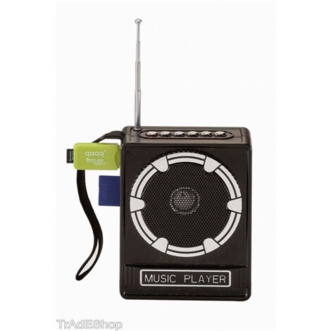 Enceinte Portable Avec Radio Fm Port Usb Lecteur De Carte Sd Sortie Aux Mp3